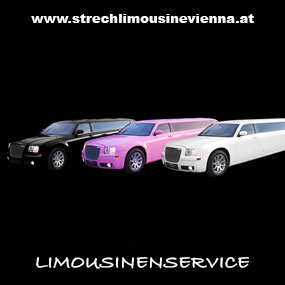 Vienna Car Styling